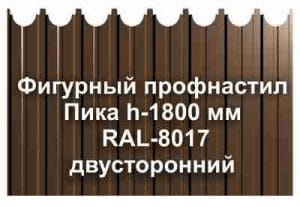 Фигурный профнастил Пика м rаl  двухсторонний фото  OsnovaZaborru