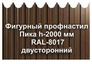 Фигурный профнастил Пика м rаl  двухсторонний фото  OsnovaZaborru