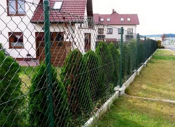 ЗАБОР ИЗ СЕТКИ РАБИЦА фото  OsnovaZaborru