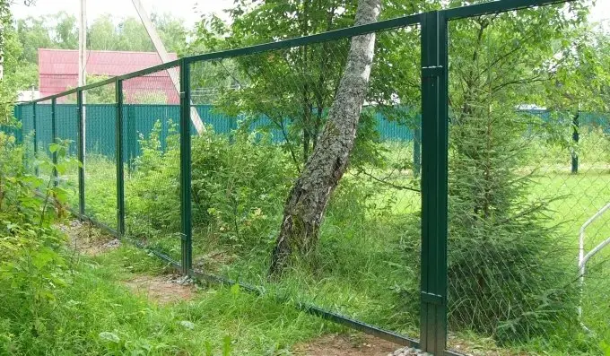 Секционный забор из сетки рабица Луга фото  OsnovaZaborru