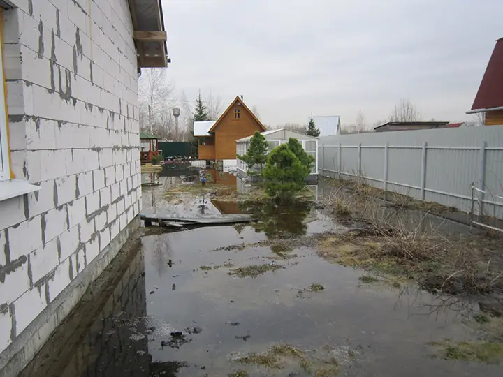 застой воды на участке без жренажа 2025 OsnovaZaborru застой воды на участке без жренажа фото OsnovaZaborru